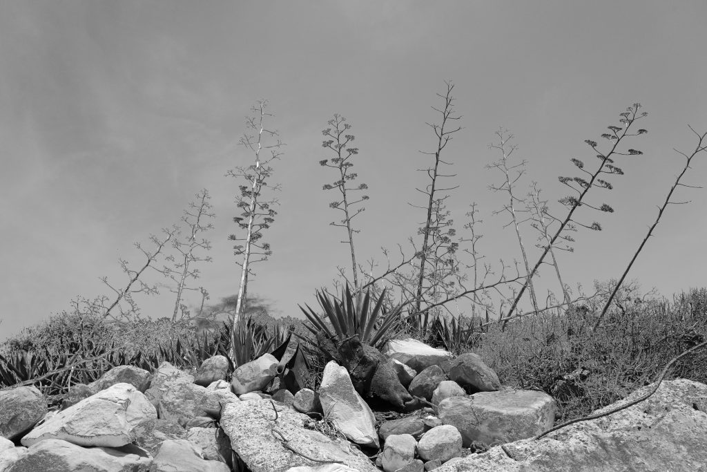 l1040130